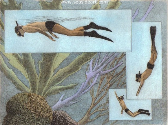 Free Diver by David Hunter - Seaside Art Gallery