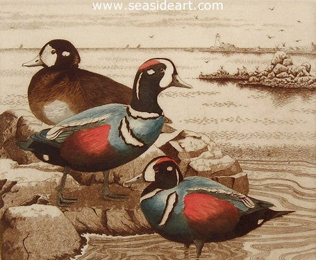 Harlequins II by David Hunter - Seaside Art Gallery