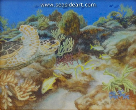 Hawkbill Sea Turtle’s Hunting Grounds by Beverly Abbott - Seaside Art Gallery