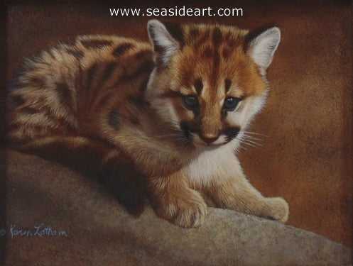 Blue Eyes-Cougar Kitten by Karen Latham - Seaside Art Gallery