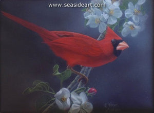 Cardinal and Blossoms by Karen Latham - Seaside Art Gallery