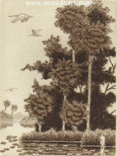 Lighter Knot Creek by David Hunter - Seaside Art Gallery