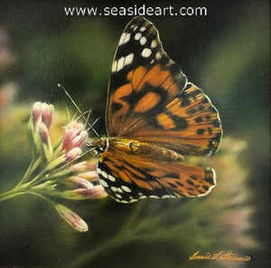 Lingering (Painted Lady Butterfly)