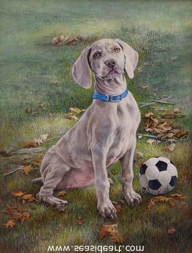 Best Girl by Catherine Girard - Seaside Art Gallery