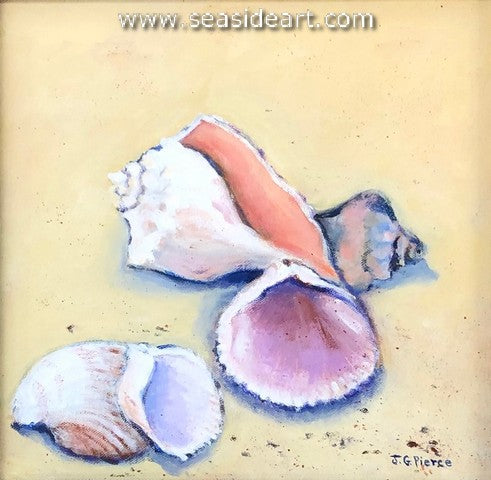 OBX Whelks and Cockles