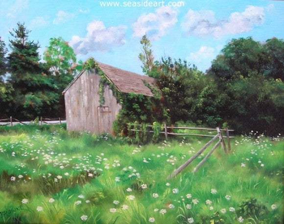 Queen Annes Lace by Bob Browne - Seaside Art Gallery