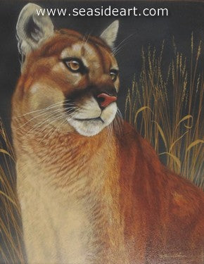 Strength of Presence-Mountain Lion I by Rebecca Latham - Seaside Art Gallery