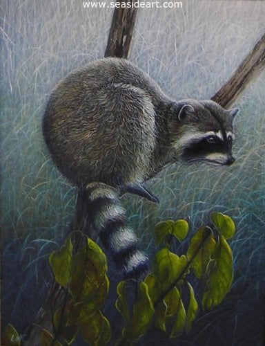 Raccoon by N.W. Lalk - Seaside Art Gallery