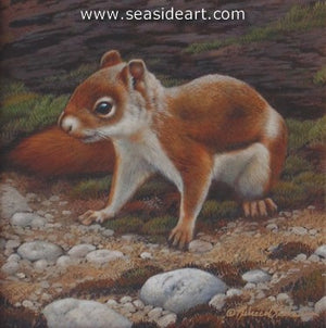 Finesse IV-Red Squirrel by Rebecca Latham - Seaside Art Gallery