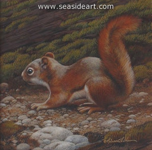 Finesse II-Red Squirrel by Rebecca Latham - Seaside Art Gallery