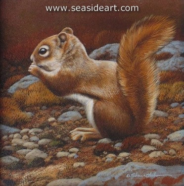 Trailside Visitor I-Red Squirrel by Rebecca Latham - Seaside Art Gallery