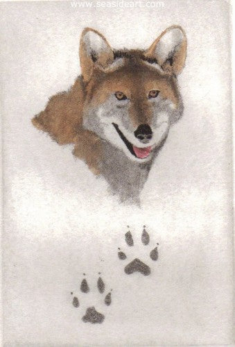 Red Wolf by David Hunter - Seaside Art Gallery