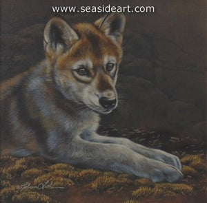 Peaceful Spot-Wolf Pup by Rebecca Latham - Seaside Art Gallery