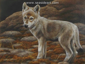 Wild Explorer-Wolf Pup by Rebecca Latham - Seaside Art Gallery