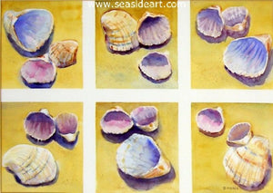 Shells & More Shells by Janet Groom Pierce - Seaside Art Gallery