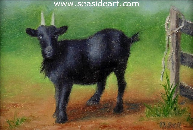 Little Black Goat