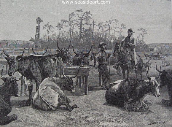 Texan Cattle in A Kansas Corn Corral by Frederic Sackrider Remington - Seaside Art Gallery