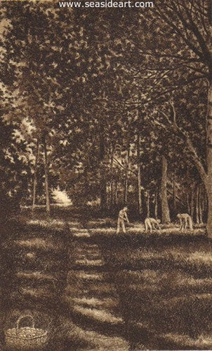 Wild Mushrooms by David Hunter - Seaside Art Gallery