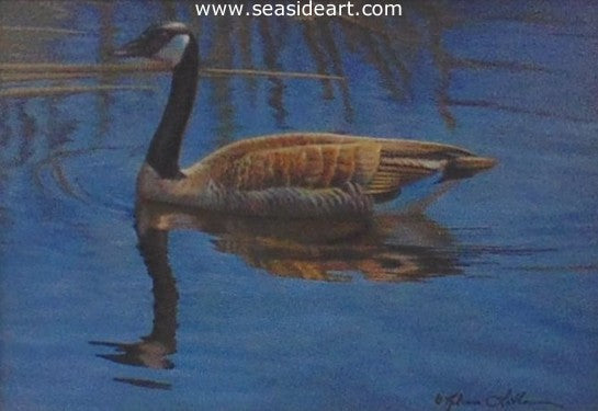 Afternoon Shimmer – Canada Goose by Rebecca Latham - Seaside Art Gallery