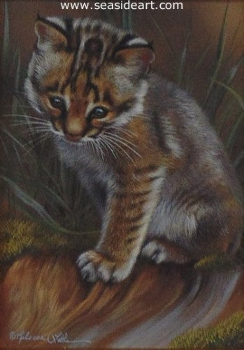 A Little Curious – Bobcat Kitten by Rebecca Latham - Seaside Art Gallery