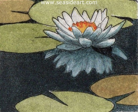 Aqua Beauty by David Hunter - Seaside Art Gallery