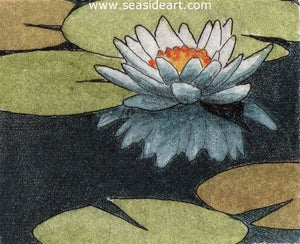 Aqua Beauty by David Hunter - Seaside Art Gallery