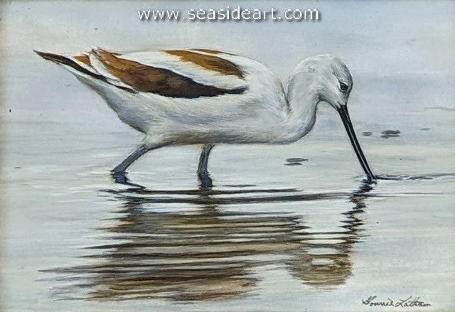 Water's Edge (American Avocet)