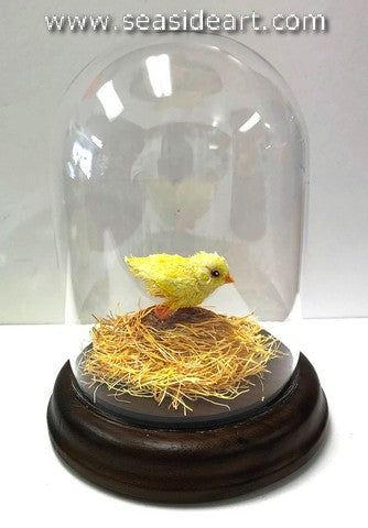 The Little Chick That Got Away