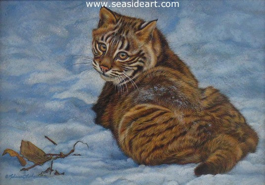 Looking Back (Bobcat)