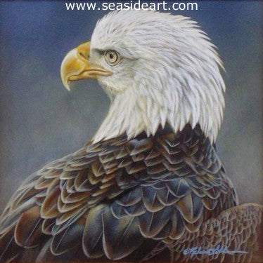 Focus (American Bald Eagle) by Rebecca Latham - Seaside Art Gallery