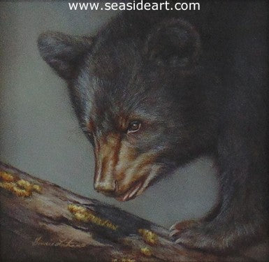 Eye On You (Black Bear) by Bonnie Latham - Seaside Art Gallery