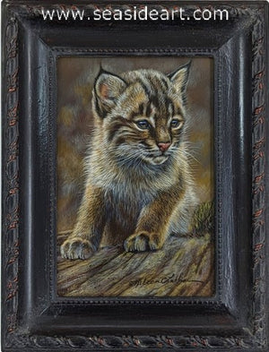 Gentle Spirit (Bobcat Kitten)