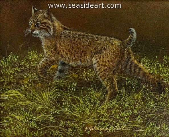 Bobcat Trails