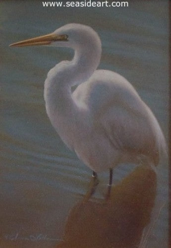 Calm in the Shadows – Great Egret by Rebecca Latham - Seaside Art Gallery