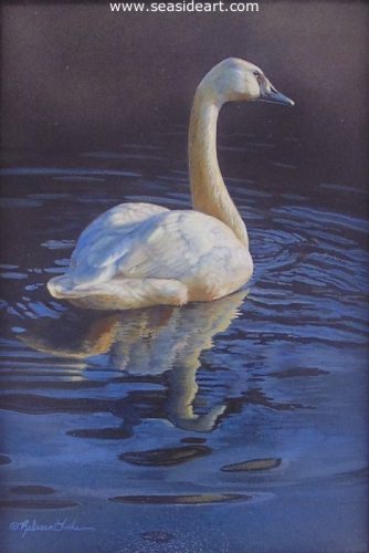 Calm Waters (Trumpeter Swan) by Rebecca Latham - Seaside Art Gallery