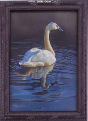 Calm Waters (Trumpeter Swan) by Rebecca Latham - Seaside Art Gallery
