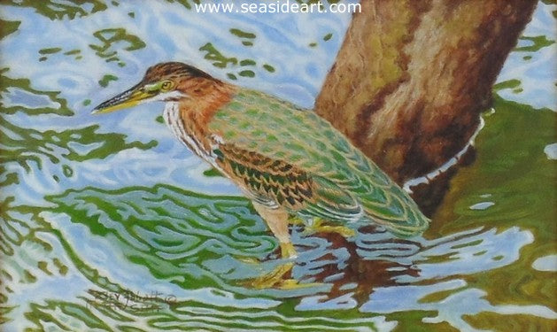 Camouflaged by the Water (Green Heron)