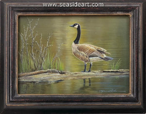 Canadian Waters (Canadian Goose)