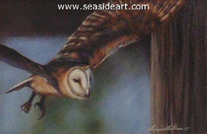 Catching Flight (Barn Owl)