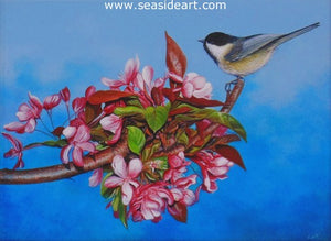 Chickadee on Cherry Tree Branch by N.W. Lalk - Seaside Art Gallery