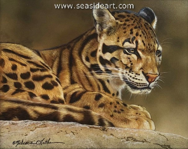 Clouded Dreams (Clouded Leopard)