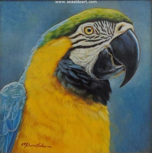 Colorful Personality (Macaw) by Rebecca Latham - Seaside Art Gallery