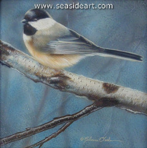 Contentedly Perched (Chickadee)