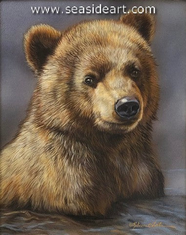 Cooling Off (Grizzly Cub)