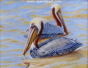 Dancing Pelicans