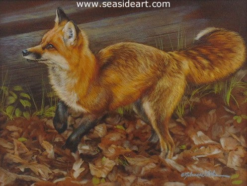 Dashing (Red Fox) by Rebecca Latham - Seaside Art Gallery