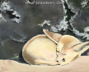 Nap Time (Desert Fox)