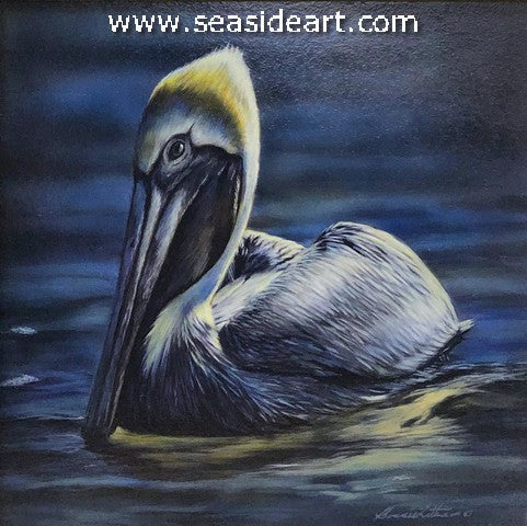 Drifting (Brown Pelican)