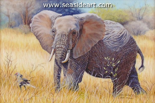 Elephant & Secretary Bird