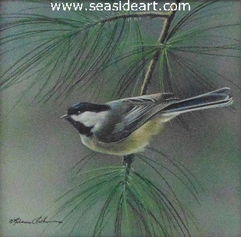 Evergreen Perch  (Chickadee)
